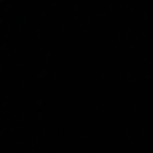 Meet your Posher, Isaiah